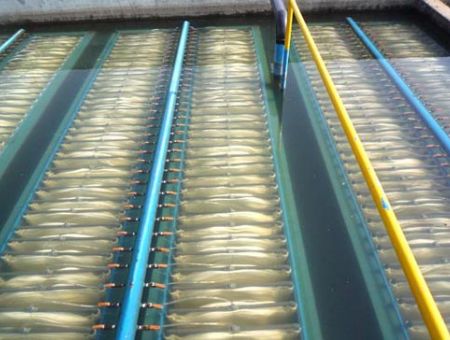 點(diǎn)擊查看詳細(xì)信息<br>標(biāo)題：MBR膜生物反應(yīng)器 閱讀次數(shù)：2465