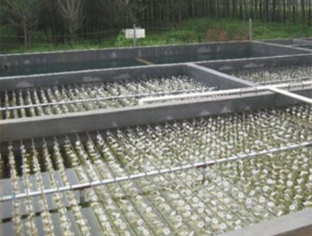 點(diǎn)擊查看詳細(xì)信息<br>標(biāo)題：養(yǎng)殖污水處理 閱讀次數(shù)：4523